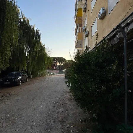 Vasip * Golem (Tirana)