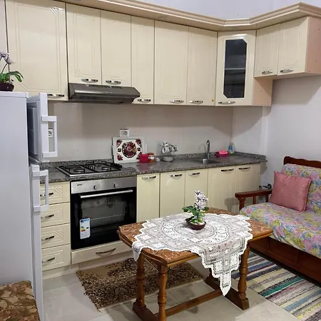Appartement Vasip *
